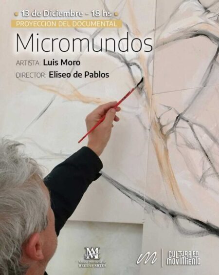 Proyección de “Micromundos” en el Museo Juan Yaparí imagen-34