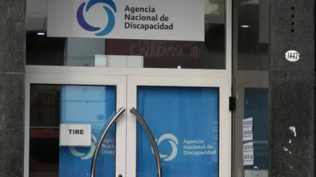 El gobierno eliminará la Andis y traspasó sus funciones al ministerio de Salud imagen-7