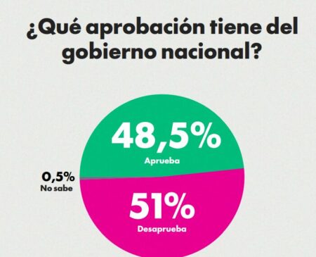 A dos años de gestión: 51% desaprueba a Milei y casi la mitad dice estar peor económicamente imagen-102