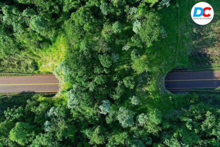 Misionerismo Neo: una invitación a ordenar el futuro imagen-101