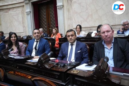 El Frente Renovador Neo y una disidencia crucial en la defensa de la discapacidad y la emergencia universitaria. imagen-100