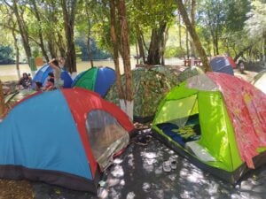 El Festival Provincial de las Carpas no se realizará este fin de semana por inestabilidad climática imagen-14