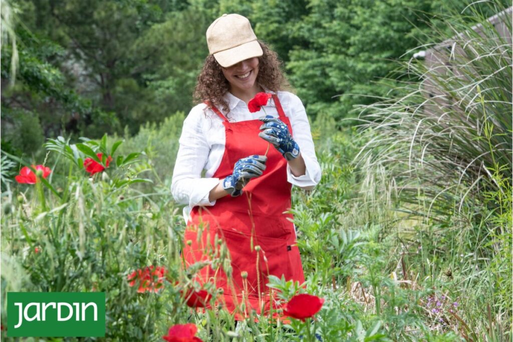 ¿Puede el jardín cambiar de acuerdo al estado de ánimo de sus dueños? imagen-5