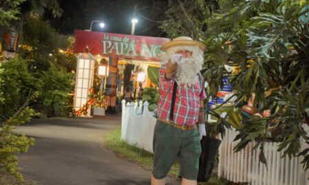 Fiesta de la Navidad: hoy desfile de carrozas, Pamela Ayala y Los Nocheros imagen-101