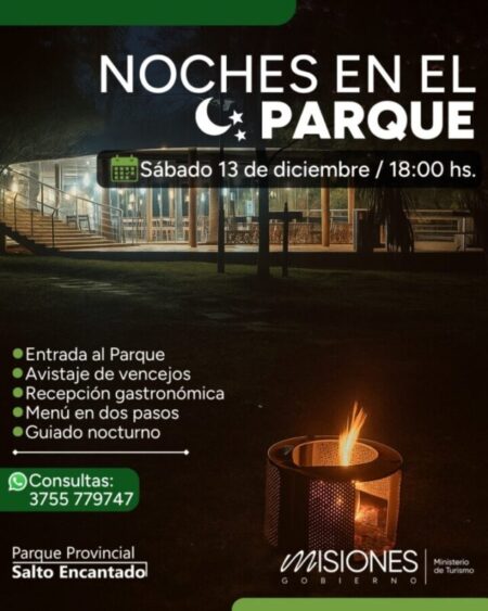 “Noches en el Parque”, una experiencia sensorial en la selva misionera imagen-8