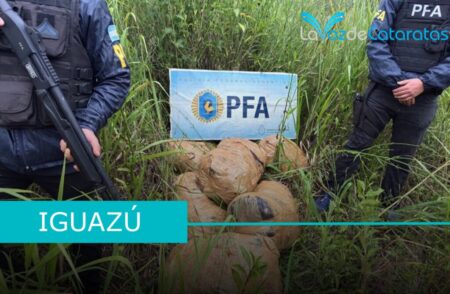 Operativo de la PFA: Secuestran más de 200 kilos de marihuana en un camino clandestino imagen-103