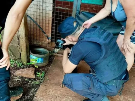 Rescatan a un perro tras denuncias por presunto maltrato animal en Eldorado imagen-105