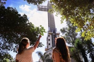 Verano en Misiones: el Parque Temático de la Cruz de Santa Ana extiende sus horarios imagen-12