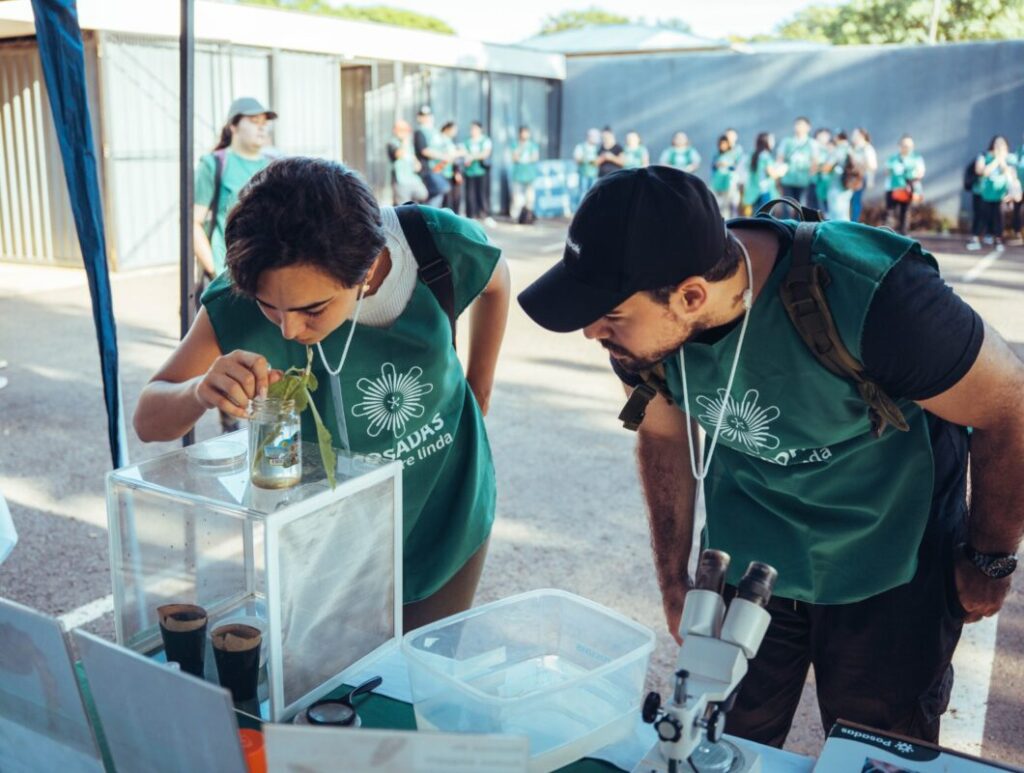 Prevención contra el Aedes aegypti: con el 42do Operativo LIRAa se estima alcanzar las 6.500 viviendas imagen-5