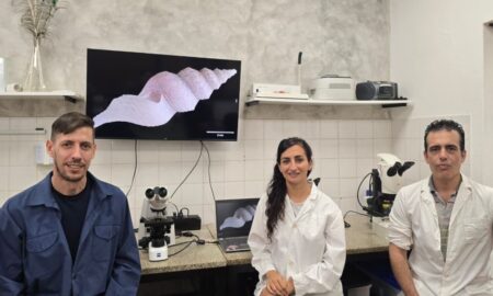 Del océano a Misiones: analizan caracoles para producción de posibles fármacos imagen-8