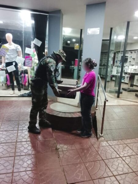 Rescatan a una lechuza herida que ingresó a una óptica de San Vicente imagen-106