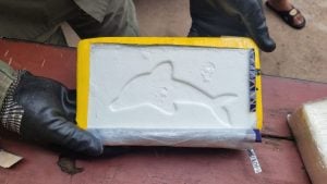 Intento de homicidio y droga marcada: qué hay detrás del sello delfín en la cocaína secuestrada en Posadas imagen-9