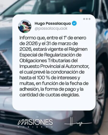 Alivio fiscal: Misiones anuncia la quita del 100% de intereses y multas del Impuesto Provincial Automotor imagen-9