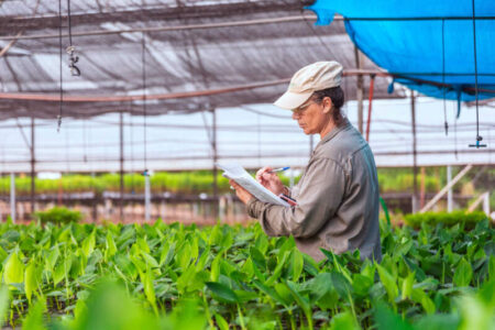 Biotecnología misionera, protagonista de este 2025 en la agroindustria provincial y nacional imagen-8