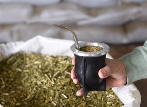 Yerba mate: las exportaciones siguen marcando un récord histórico y el mercado interno continúa en recuperación imagen-9