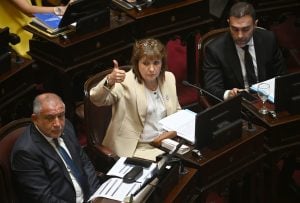 Sin grandes objeciones, el Senado sancionó la ley de inocencia fiscal: el piso de evasión sube de $1,5 millones a $100 millones imagen-9