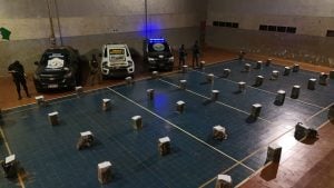 Más de 4 mil millones de pesos en marihuana secuestrada tras la detención de un narco en Andresito imagen-10