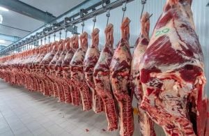 Aumento de la carne: el kilo roza los $20.000 y un asado familiar ya cuesta más de $65.000 Aumento de la carne: el kilo roza los $20.000 y un asado familiar ya cuesta más de $65.000 imagen-16