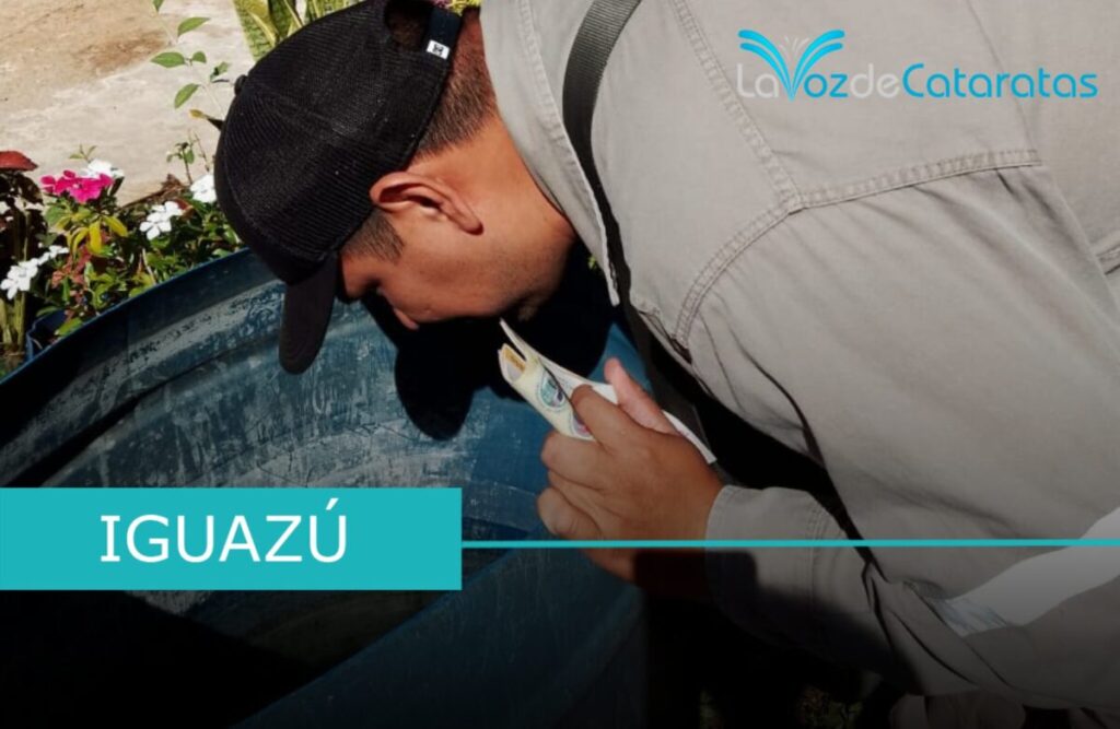 Prevención del dengue: continúan con fumigación y control domiciliario imagen-4