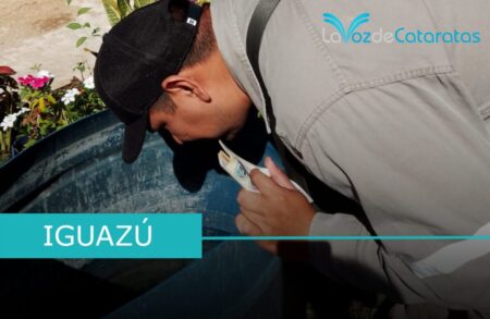 Prevención del dengue: continúan con fumigación y control domiciliario imagen-106