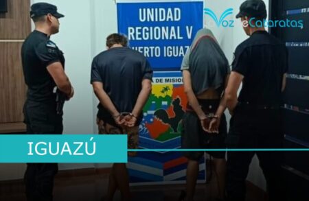 Caen dos conocidos delincuentes tras un robo en barrio Malvinas imagen-103