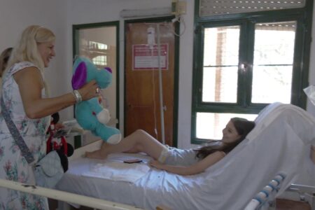 Una campaña solidaria entregó más de mil juguetes a niños internados del Hospital de Pediatría de Posadas imagen-12