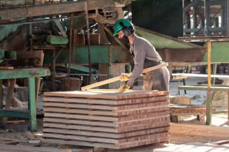 Crisis en las pymes madereras: la caída de la construcción golpea a la foresto industria imagen-102