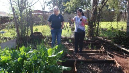 El programa “Armamos la Huerta Juntos” benefició a 485 familias durante el 2025 imagen-101