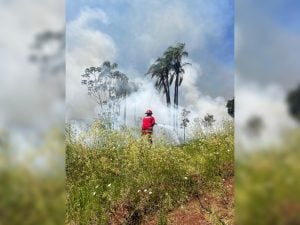 Sofocaron un incendio que afectó siete hectáreas en el barrio Punta Alta de Oberá Sofocaron un incendio que afectó siete hectáreas en el barrio Punta Alta de Oberá imagen-124