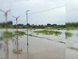 Temporal en Corrientes: evacuaron a más de 150 personas que reciben asistencia en escuelas  imagen-11