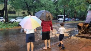 Continúan las lluvias y este martes se prevén chaparrones y ráfagas fuertes en Misiones imagen-11