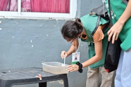 El operativo Liraa recorrió casi la totalidad de las viviendas en sus primeros días imagen-21