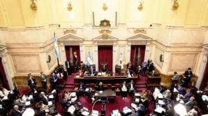 VIVO | El Senado busca sancionar el Presupuesto 2026 imagen-9