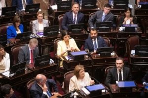 Qué cambia con la ley de Inocencia Fiscal que aprobó el Senado: los puntos centrales del proyecto sobre los “dólares del colchón” imagen-8