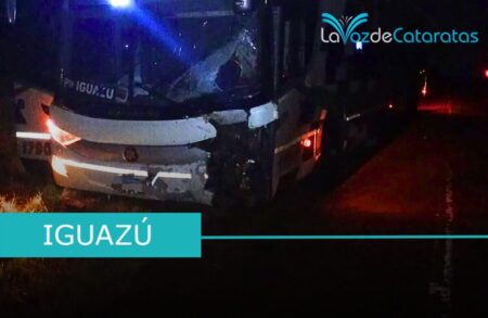 Siniestro en la Ruta 12: choque frontal dejó como víctima a un vecino de Iguazú Siniestro en la Ruta 12: choque frontal dejó como víctima a un vecino de Iguazú imagen-9