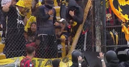 La sanción a Deportivo Madryn por los incidentes en la final: multa mínima imagen-8