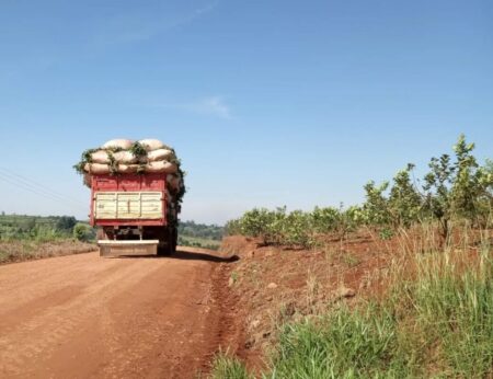 Vialidad inició el proceso para pavimentar y sanear un tramo clave de la ruta provincial 15 imagen-11