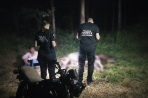 Sorprendieron a un grupo de personas faenando un caballo en un barrio de Posadas: dos hombres fueron detenidos Sorprendieron a un grupo de personas faenando un caballo en un barrio de Posadas: dos hombres fueron detenidos imagen-10