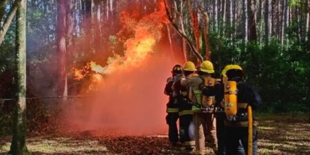 Ante la tregua por las lluvias, solicitan “no bajar la guardia” en materia de incendios imagen-8