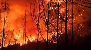 Incendios en Chubut: confirmaron que son intencionales a través de una estremecedora imagen mientras sigue la lucha contra el fuego imagen-10