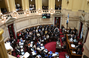 El Gobierno nacional se entusiasma con aprobar Ficha Limpia este año en el Senado: podría sumar hasta 40 votos imagen-14