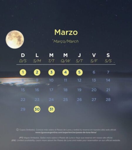 31 Marzo 2026 imagen-13