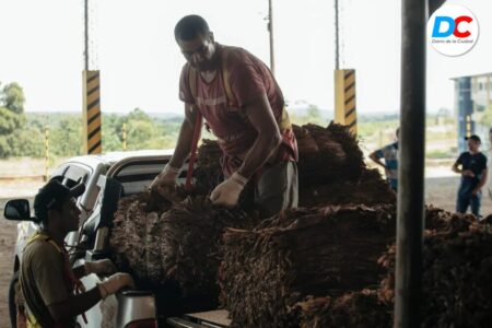 Acordaron el precio del tabaco en Misiones imagen-8