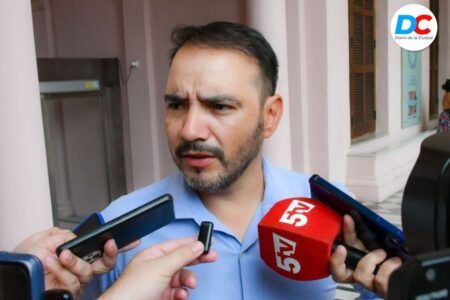 El gobernador de Corrientes se refirió a la crisis forestal: “Hay preocupación porque empieza a colapsar el sector” imagen-9