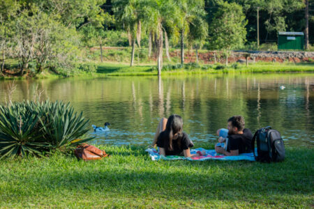 Este verano, turismo en Misiones imagen-9