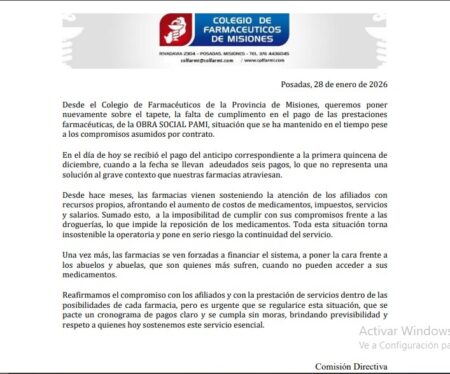 Farmacias al borde del colapso: PAMI debe seis pagos y peligra la entrega de medicamentos a jubilados en Misiones imagen-8