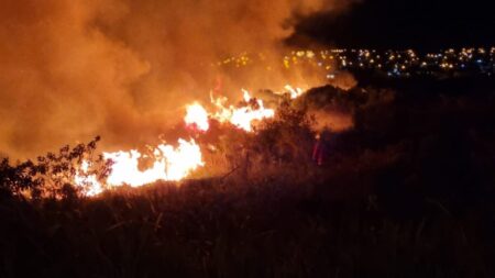 Misiones en alerta por incendios: riesgo alto y prohibición de quemas en toda la provincia imagen-8