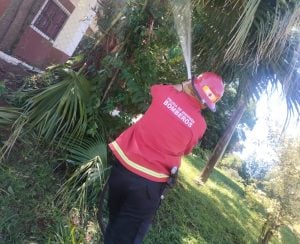 Santa Ana: incendio en un poste del tendido eléctrico imagen-7