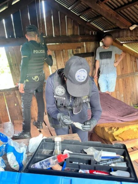 “Narcochacra” en Puerto Leoni: allanamiento policial permitió secuestrar casi 50 plantas de marihuana imagen-13