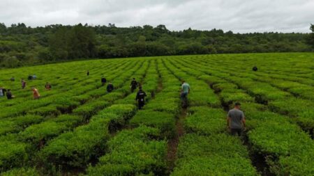 Hallaron el presunto arma homicida y prendas utilizadas por el acusado del crimen del mecánico dental de Oberá imagen-7